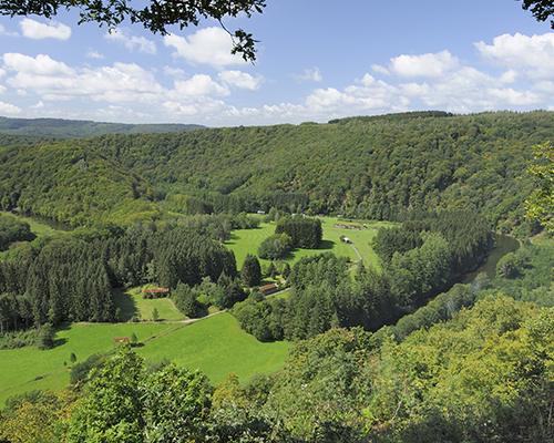 Balade nature Erezée